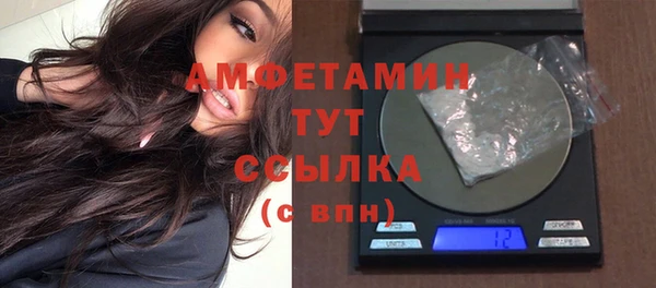 амф Богданович