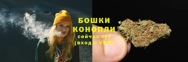 тгк Богородск