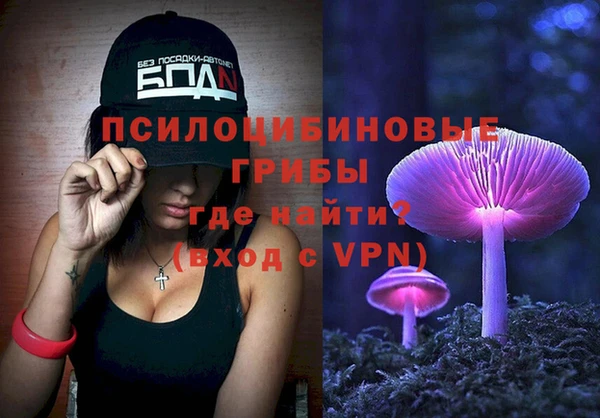 тгк Богородск