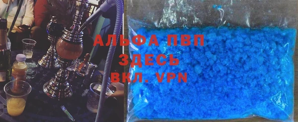 амф Богданович