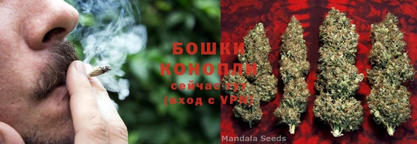амф Богданович