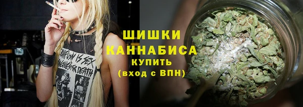 амф Богданович